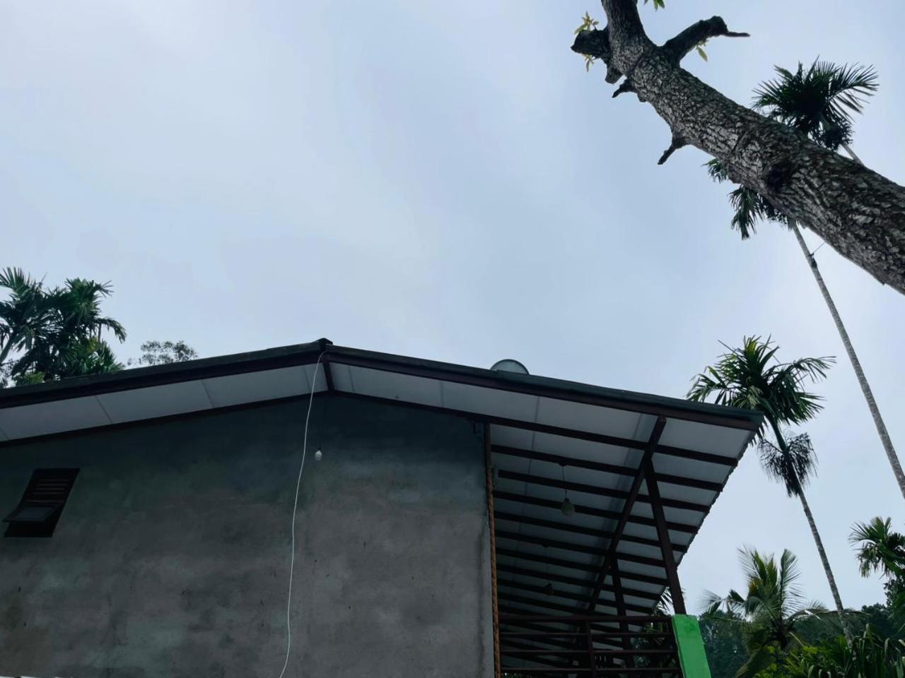 Nine Arch Jungle Inn Ella Exterior photo