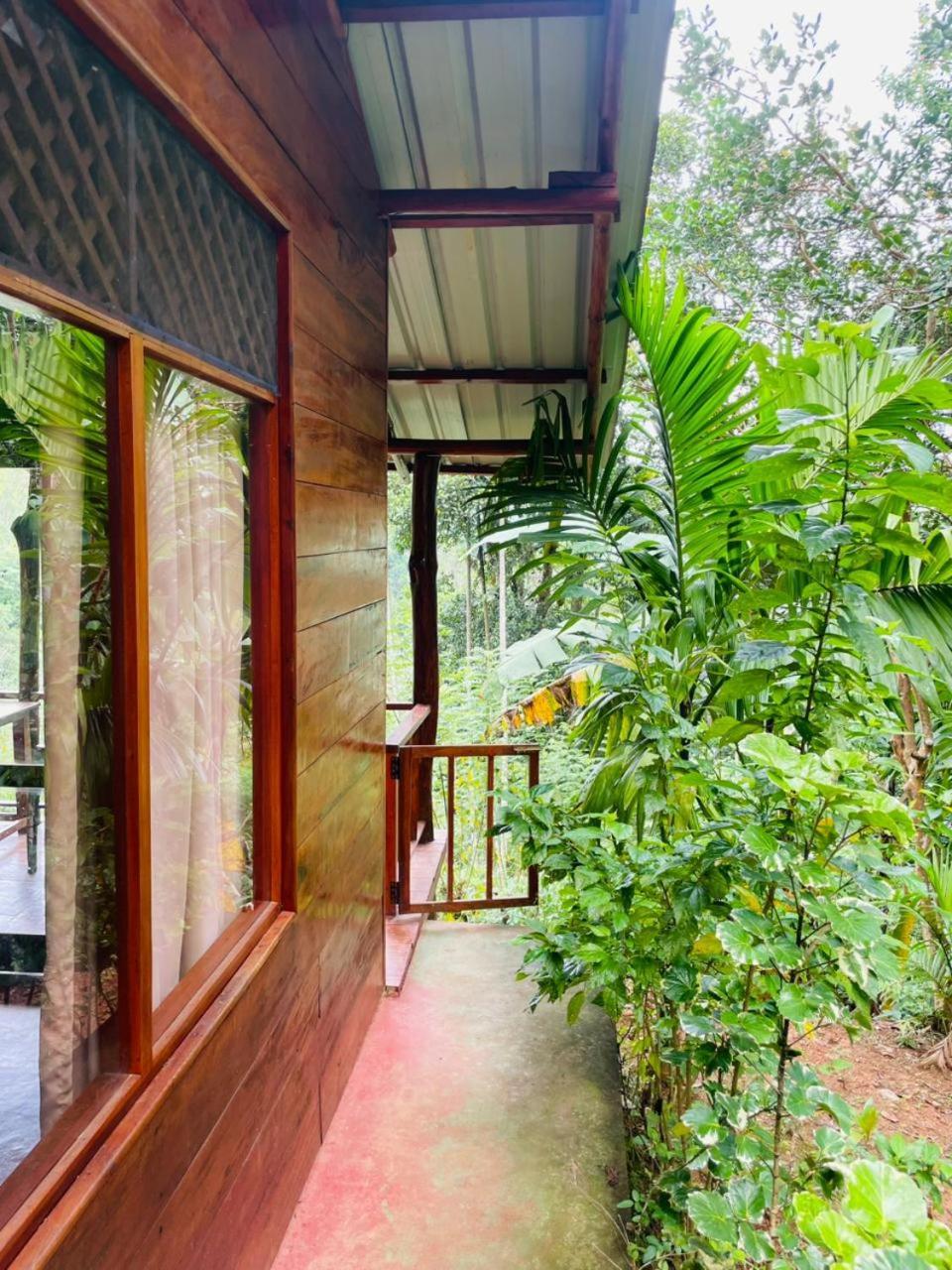 Nine Arch Jungle Inn Ella Exterior photo
